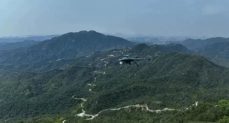 Более 3000 часов патрулирования леса, фиолетовые дроны-ласточки строят мощный лесной «файрвол»